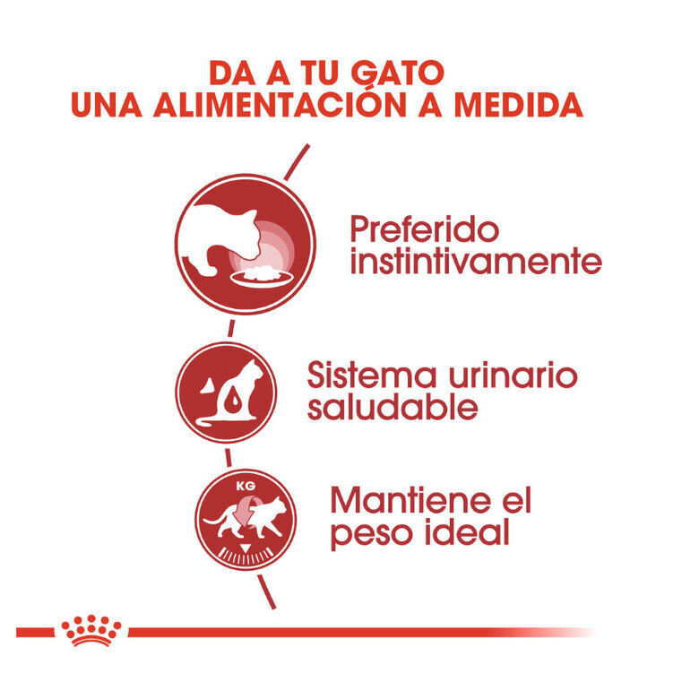 24 saquetas x 85 g Royal Canin Instinctive pat&ecirc; saqueta para gatos Pack poupan&ccedil;a!, , large Imagem n&uacute;mero 4