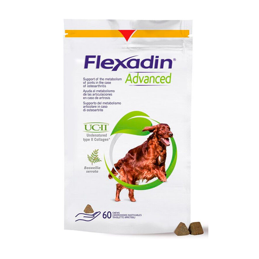 complemento_alimenticio_perros_vetoquinol_flexadin_bw_60_VET40305.jpg Imagem n&uacute;mero 1