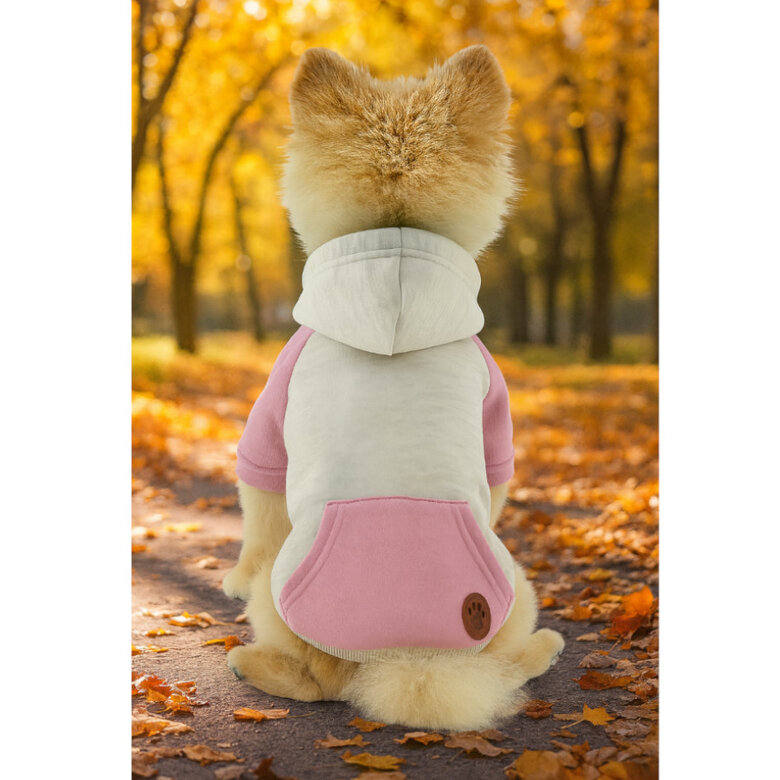 Outech Camisola com capuz rosa para cães,  Imagem número 3 Outech Camisola com capuz rosa para cães, , large Imagem número 3