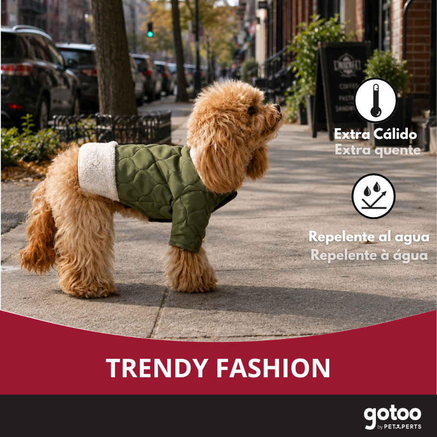 Gotoo Casaco Acolchoado Verde para c&atilde;es, , large Imagem n&uacute;mero 6