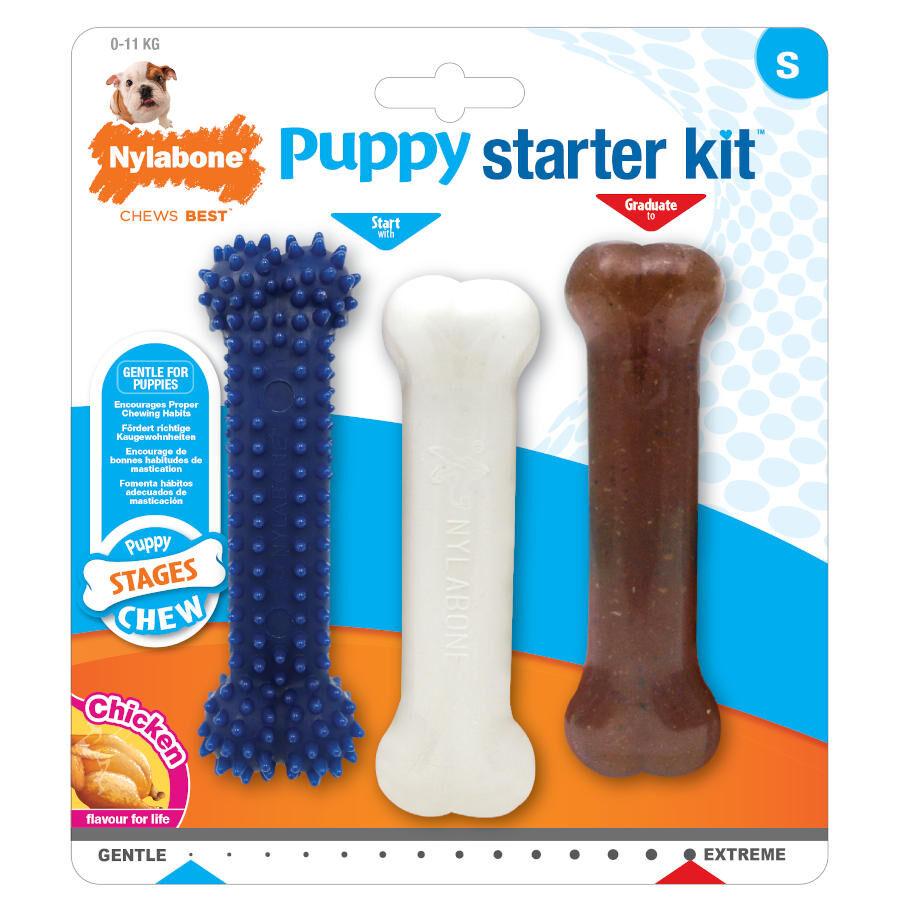 Nylabone Kit de Inicia&ccedil;&atilde;o Mordedor Triple para cachorros , , large Imagem n&uacute;mero 2