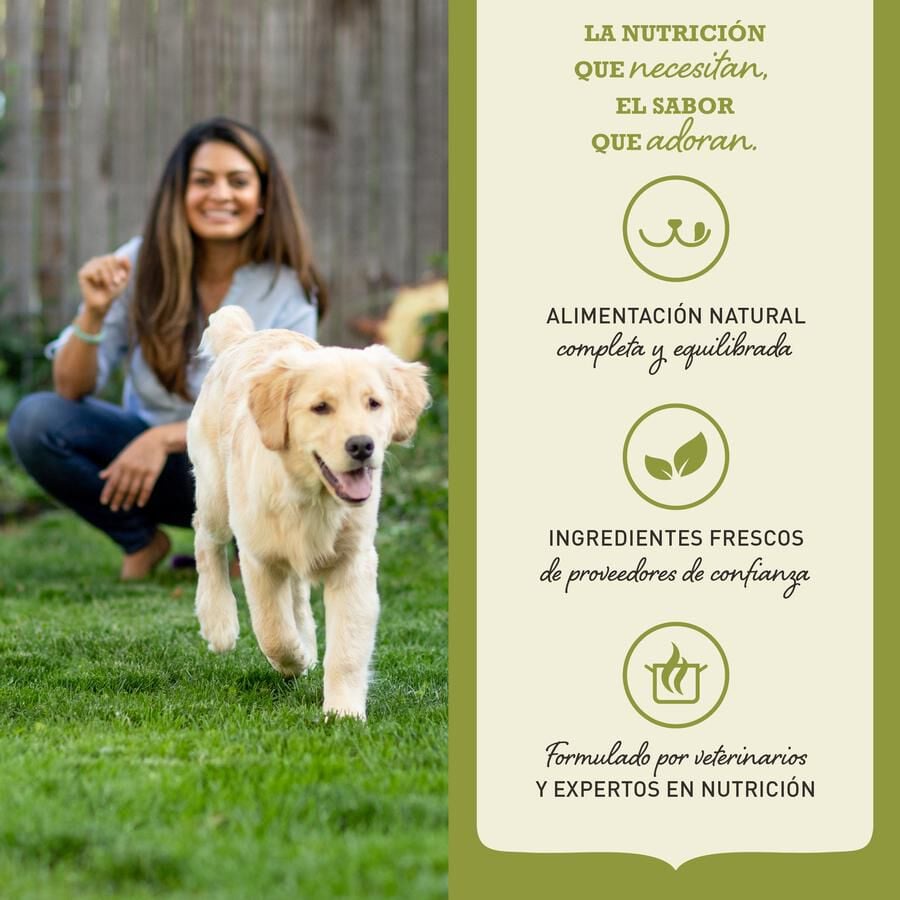 14.5 kg Acana Classics Prairie Poultry Frango ra&ccedil;&atilde;o para c&atilde;es, , large Imagem n&uacute;mero 6