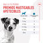 Royal Canin Training trata cobras para cães, , large Indicador imagem número 7