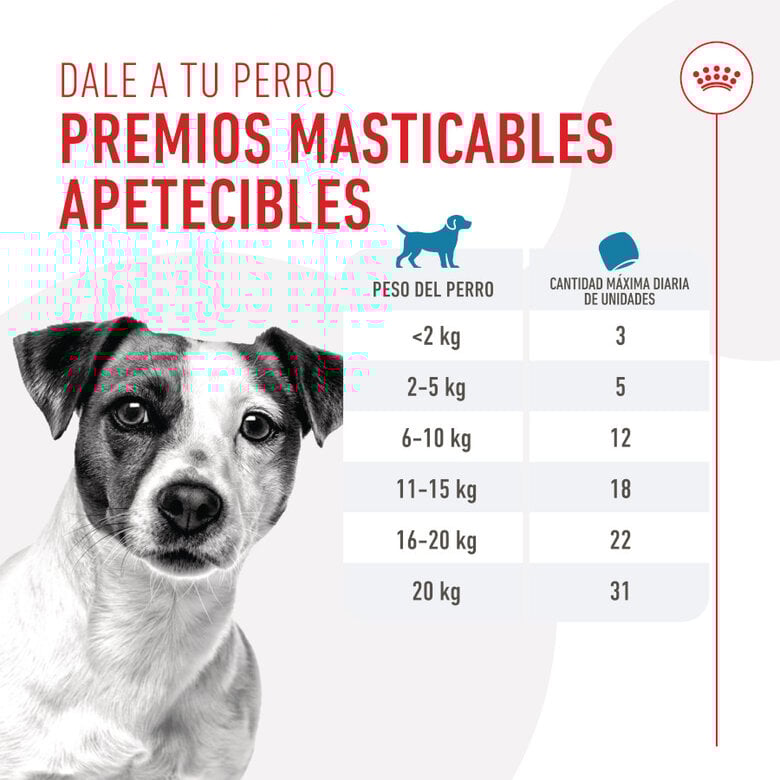 110 g Royal Canin Training snacks para cães,  Imagem número 7 110 g Royal Canin Training snacks para cães, , large Imagem número 7