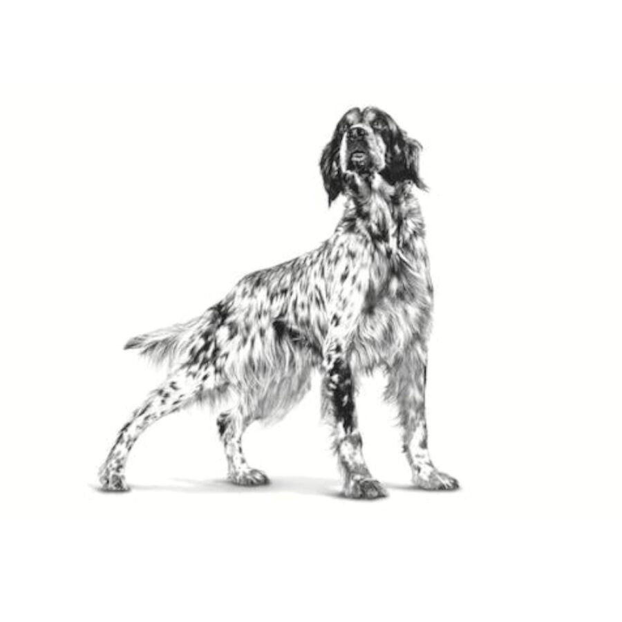 410 g Royal Canin Veterinary Sensitivity Control Pato e Arroz Lata para c&atilde;es, , large Imagem n&uacute;mero 3