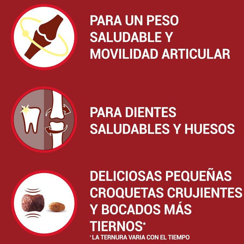1.5 kg Purina One Senior 8+ Mini ração para cães,  Imagem número 2 1.5 kg Purina One Senior 8+ Mini ração para cães, , large Imagem número 2