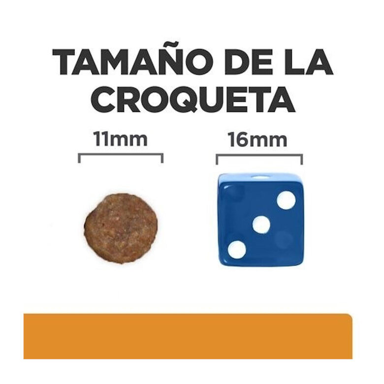 12 kg Hill's Prescription Diet Kidney + Mobility ração para cães,  Imagem número 7 12 kg Hill's Prescription Diet Kidney + Mobility ração para cães, , large Imagem número 7