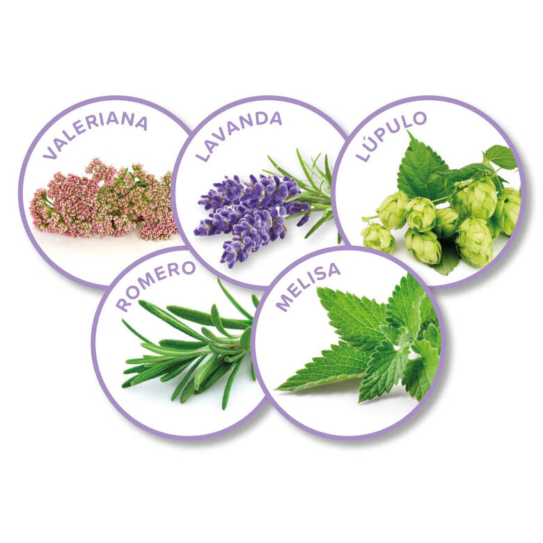 Beaphar Calming coleira relaxante para gatos, , large image number null