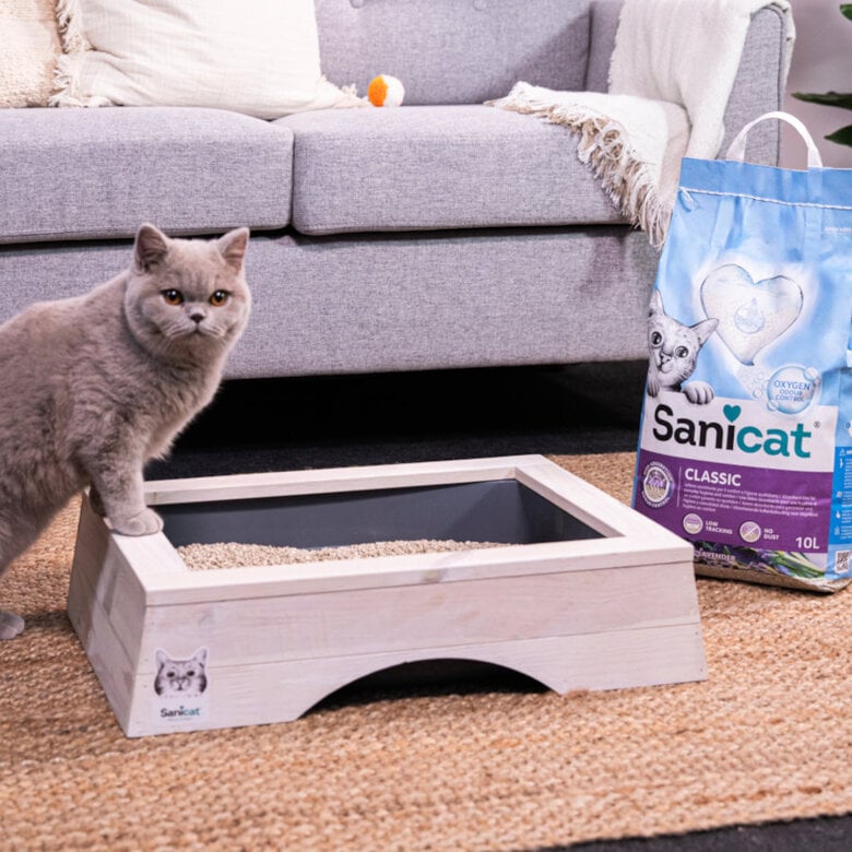 10 L Sanicat Classic Areia Absorvente Alfazema,  Imagem número 4 10 L Sanicat Classic Areia Absorvente Alfazema, , large Imagem número 4