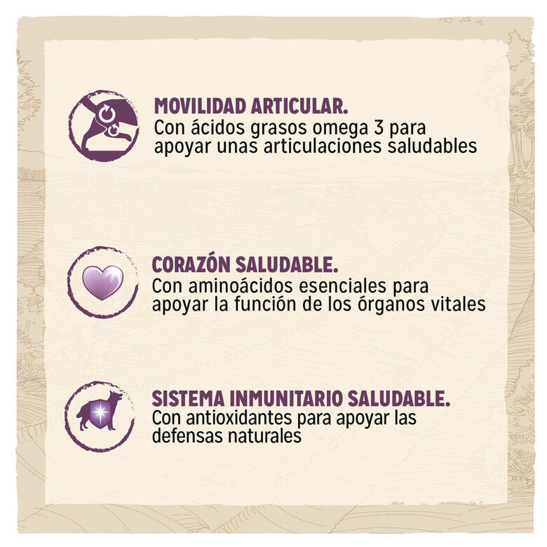 Dog Chow Mature Senior Pollo pienso para perros2 Imagem n&uacute;mero 2