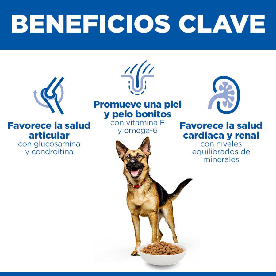 14 kg Hill's Science Plan Mature Adult Large Frango ra&ccedil;&atilde;o para c&atilde;es, , large Imagem n&uacute;mero 5