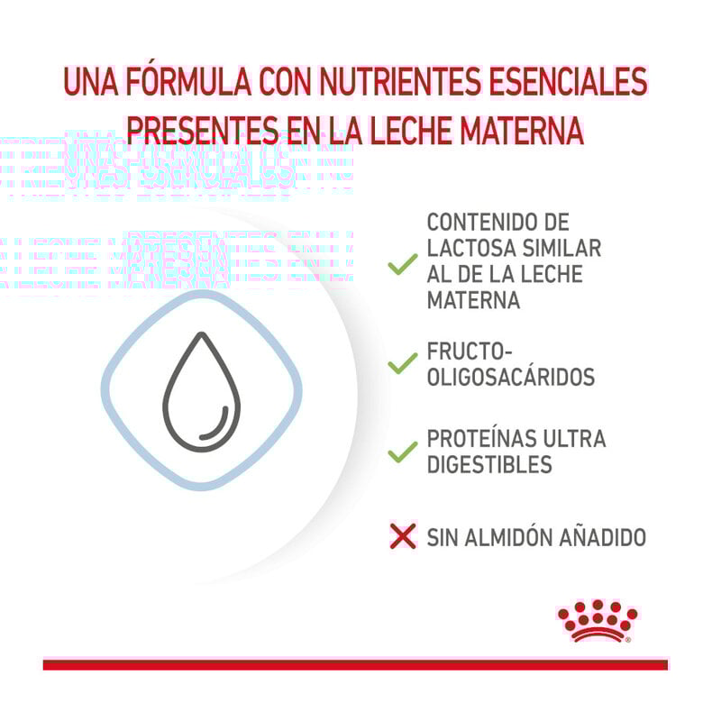 400 g Royal Canin Leite para o primeiro ano de cachorros,  Imagem número 5 400 g Royal Canin Leite para o primeiro ano de cachorros, , large Imagem número 5