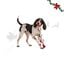 Wonder Christmas Corda e Guizo Brinquedo para c&atilde;es, , large Indicador imagem n&uacute;mero 1