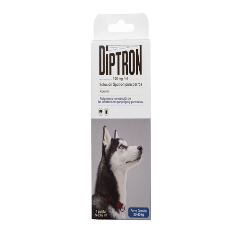 Diptron Spot On Grande Pipeta Antiparasitária para cães, , large image number null
