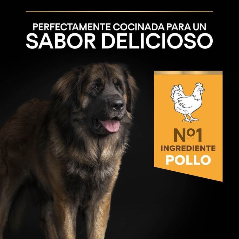 16.5 kg (14 + 2.5 kg grátis!) Pro Plan Large Robust Adult ração para cães,  Imagem número 7 16.5 kg (14 + 2.5 kg grátis!) Pro Plan Large Robust Adult ração para cães, , large Imagem número 7