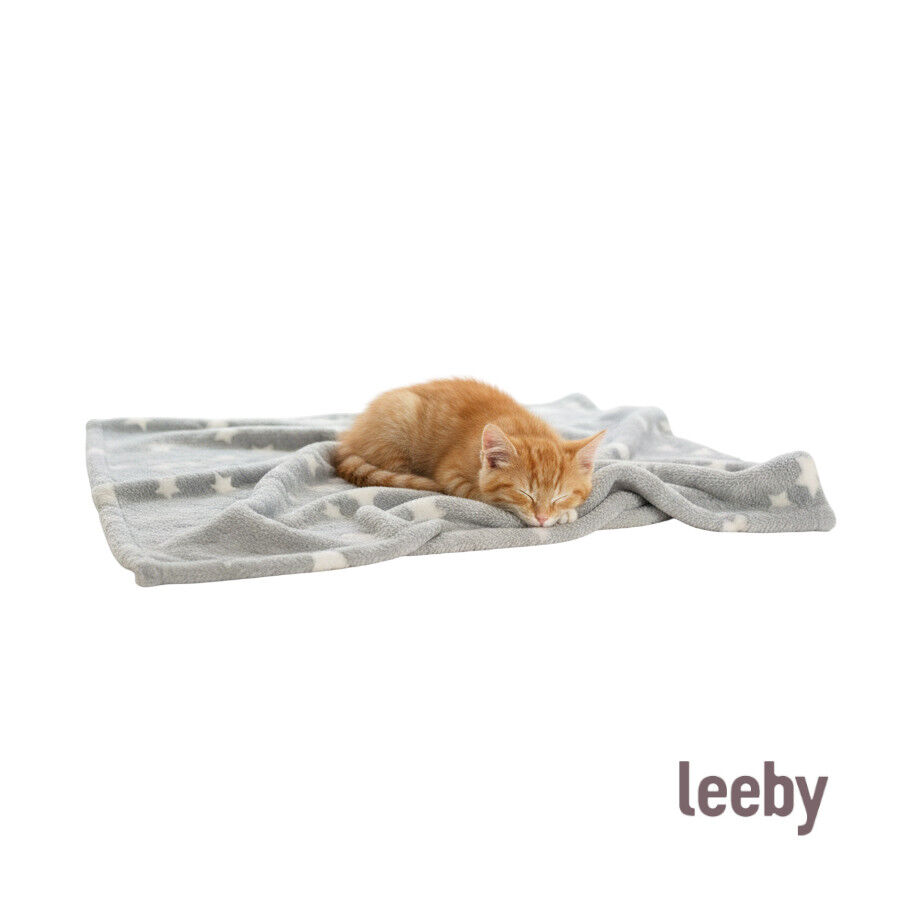 Leeby Manta estrela cinzenta para gatos, , large Imagem n&uacute;mero 1