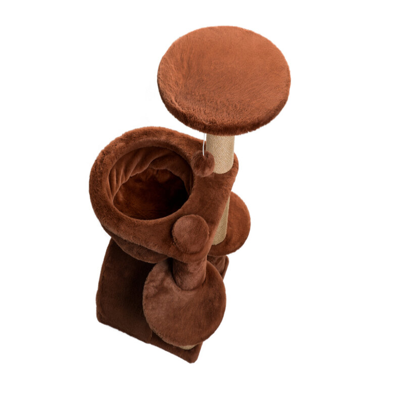Catshion Amber Árvore Arranhador com Gruta Cor de Canela para gatos,  Imagem número 2 Catshion Amber Árvore Arranhador com Gruta Cor de Canela para gatos, , large Imagem número 2