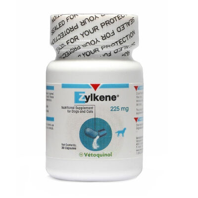 Zylkene tranquilizante natural em comprimidos para o stress em cães e gatos