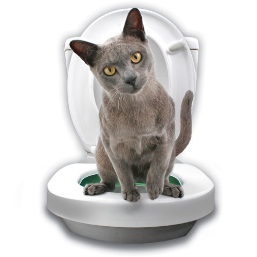 Litter Kwitter Kit WC Aneis Iniciacao para gatos Tiendanimal