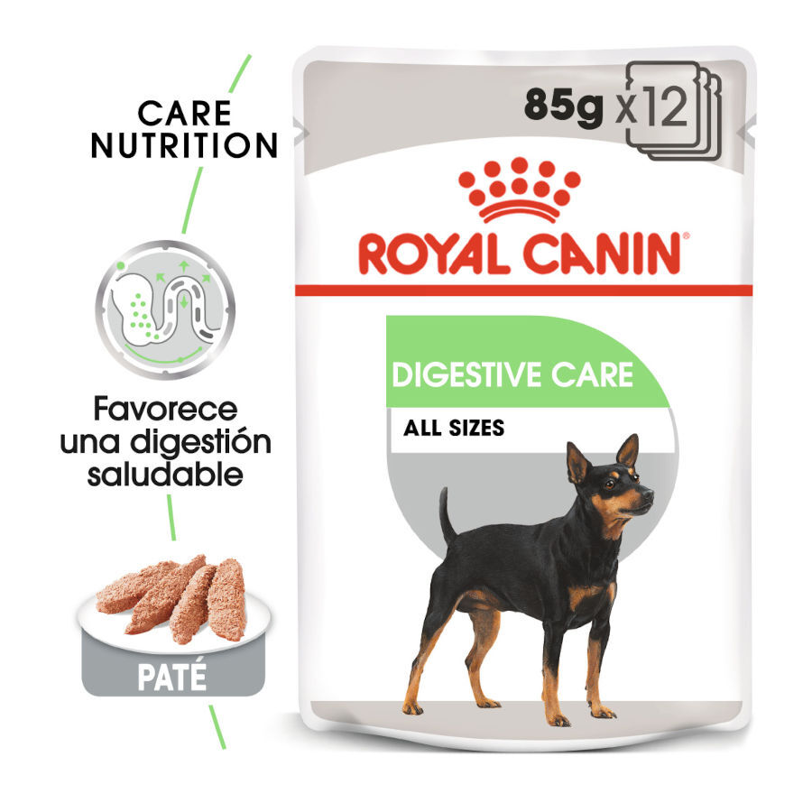85 g Royal Canin Digestive Care Pat&ecirc; em saquetas para c&atilde;es, , large Imagem n&uacute;mero 2