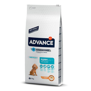 Affinity Advance Medium Puppy Frango e Arroz ração para cães