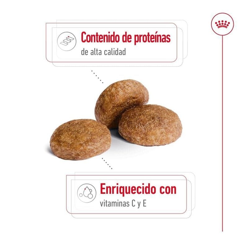 15 kg Royal Canin Medium 7+ Adult ração para cães seniores,  Imagem número 6 15 kg Royal Canin Medium 7+ Adult ração para cães seniores, , large Imagem número 6