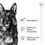 15 kg Royal Canin Maxi Adult ração para cães, , large Indicador imagem número 5