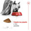 1.5 kg Royal Canin X-Small Ageing 12+ Adult ração para cães, , large Indicador imagem número 7