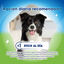 7 sticks Dentalife Snacks Dentários Small ActivFresh para cães, , large Indicador imagem número 4