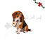 4 uns. Wonder Christmas Palitos com Peixe snacks para c&atilde;es, , large Indicador imagem n&uacute;mero 1