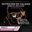 10 saquetas x 85 g Pro Plan Adult Delicate Digestion Peru e Peixe do Oceano em Molho saquetas para gatos - Multipack, , large Indicador imagem número 2
