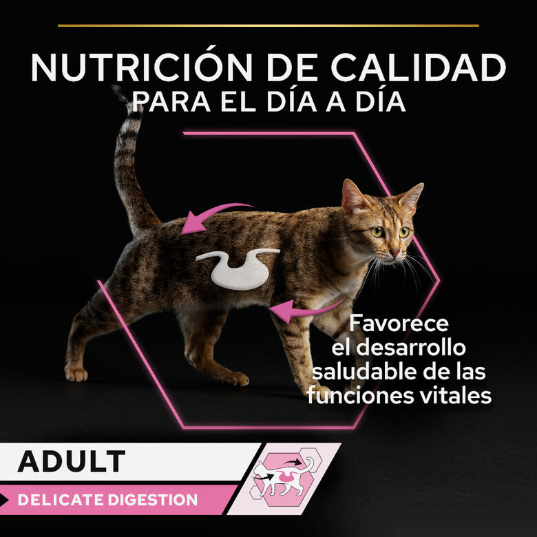 10 saquetas x 85 g Pro Plan Adult Delicate Digestion Peru e Peixe do Oceano em Molho saquetas para gatos - Multipack,  Imagem número 2 10 saquetas x 85 g Pro Plan Adult Delicate Digestion Peru e Peixe do Oceano em Molho saquetas para gatos - Multipack, , large Imagem número 2