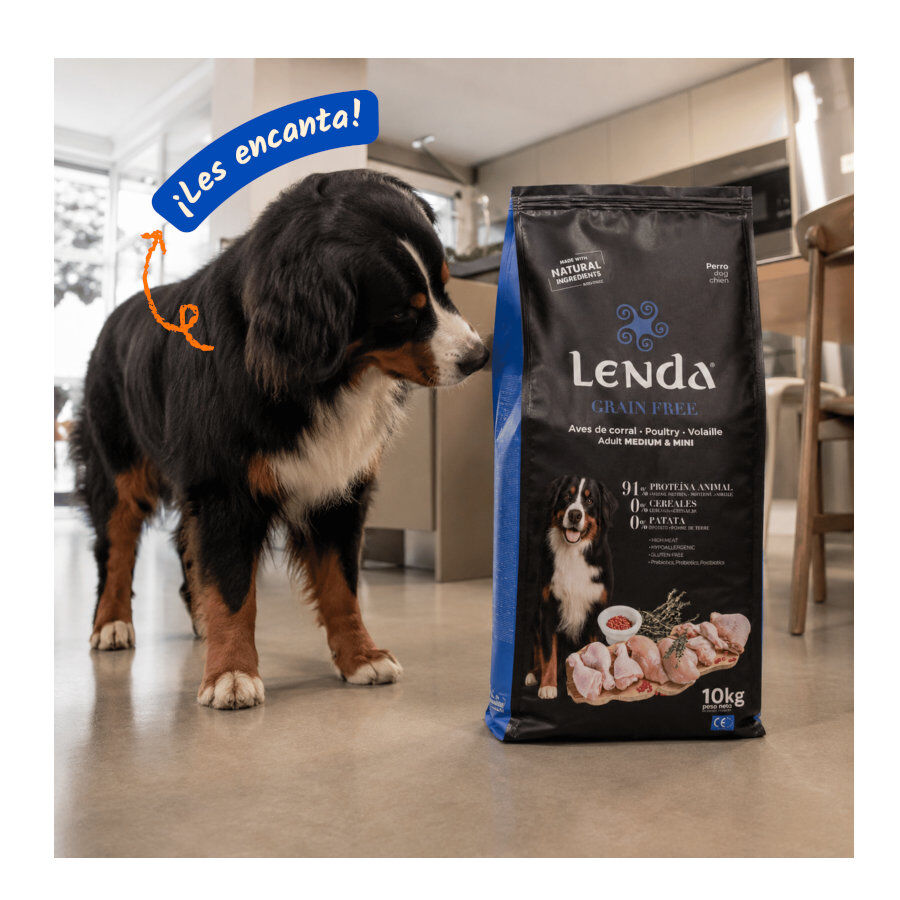 2 Kg Lenda Grain Free Ra&ccedil;&atilde;o de Peru e Pato para c&atilde;es, , large Imagem n&uacute;mero 6