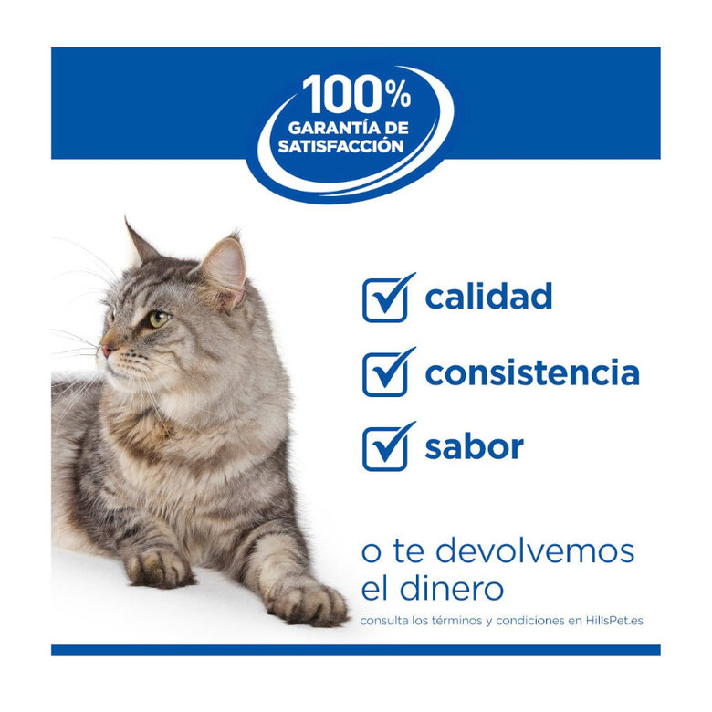 12 latas x 85 g Hill's Prescription Diet I/D Digestive Care Kitten Comida húmida de frango em lata para gatinhos,  Imagem número 7 12 latas x 85 g Hill's Prescription Diet I/D Digestive Care Kitten Comida húmida de frango em lata para gatinhos, , large Imagem número 7