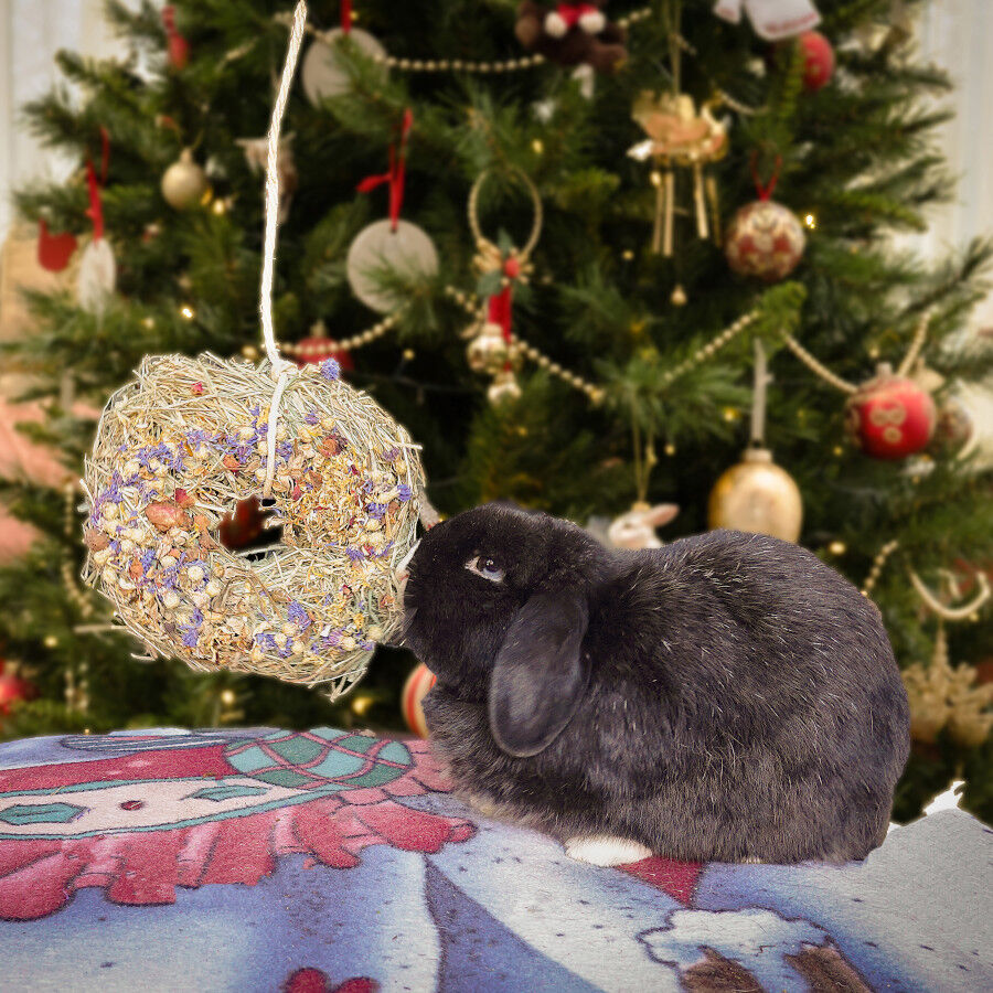 Rosewood Snack Coroa de Natal para roedores, , large Imagem n&uacute;mero 2