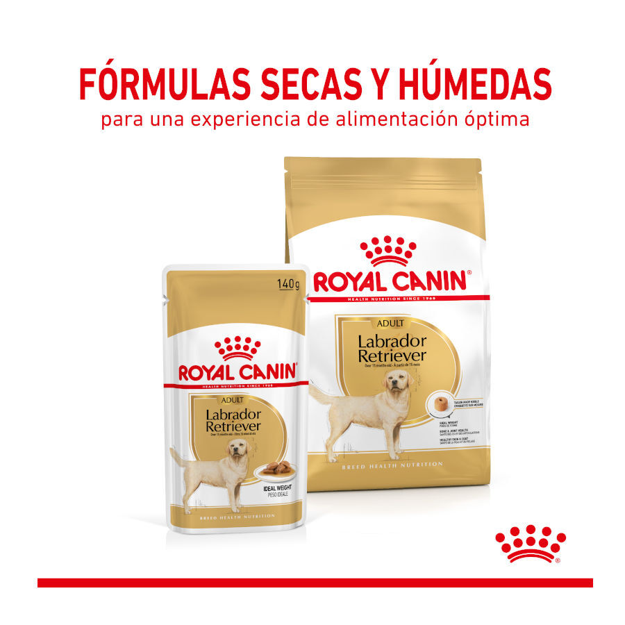 140 g Saquetas Royal Canin Labrador 140g, , large Imagem n&uacute;mero 3