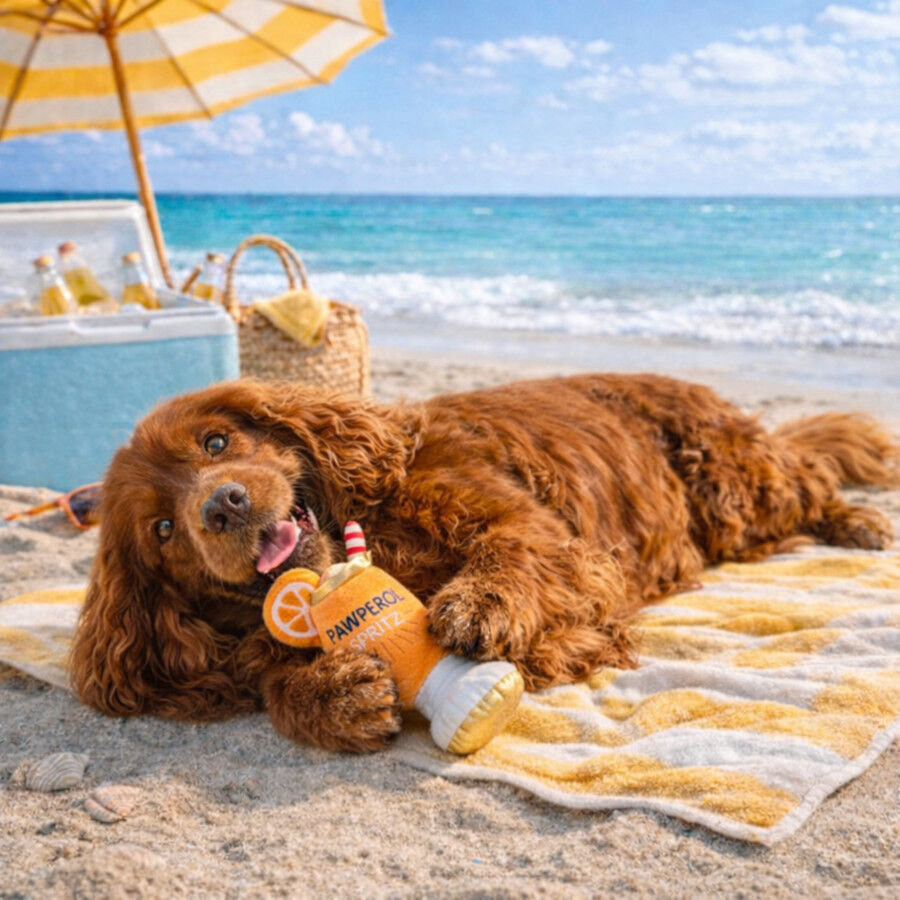 Summer Vibes Pawperol Spritz Peluche para c&atilde;es, , large Imagem n&uacute;mero 1