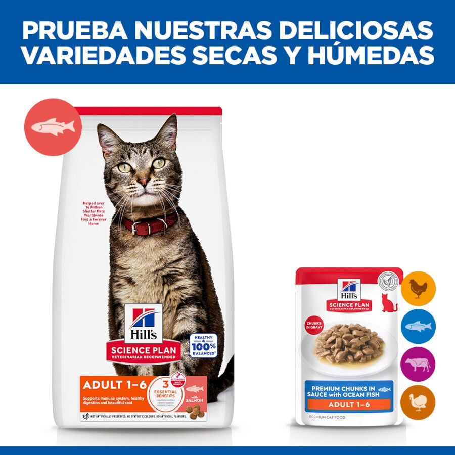 85 g Hill's Science Plan Adult Peixe saqueta para gatos, , large Imagem n&uacute;mero 6
