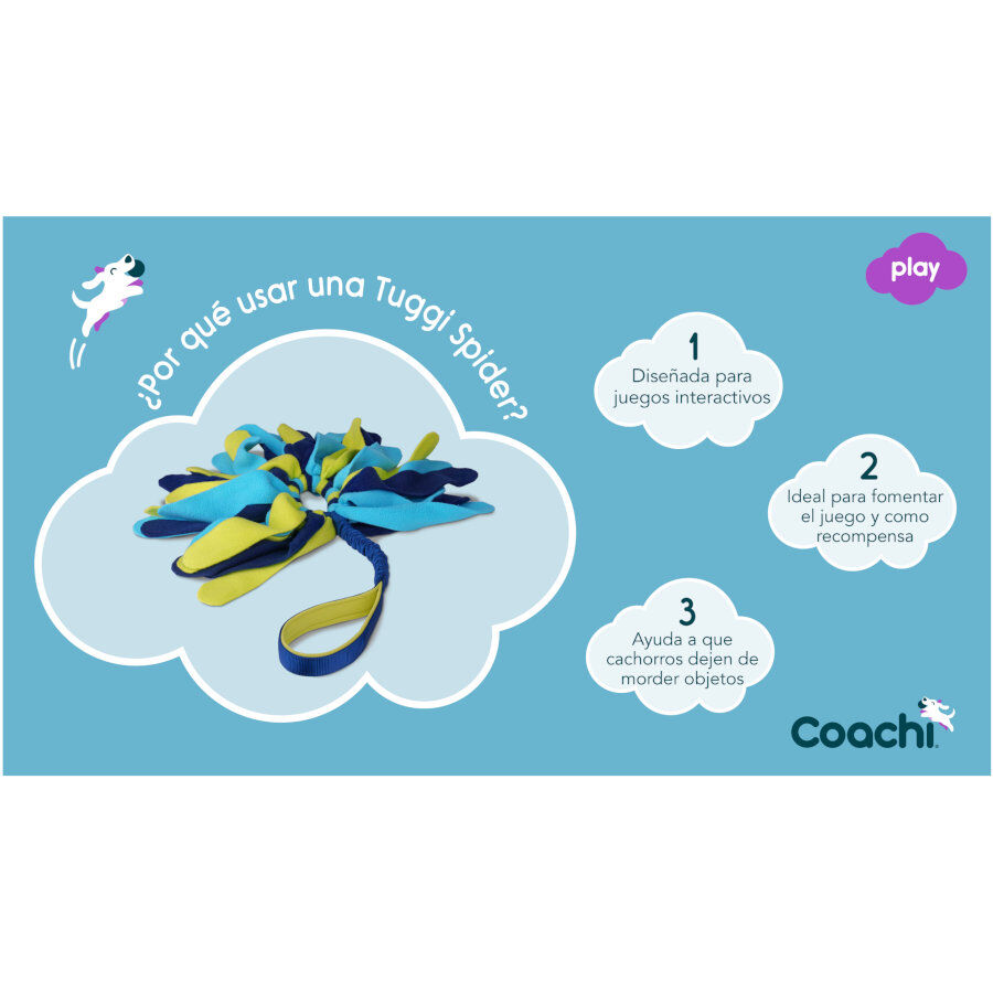 Coachi Tuggi Spider brinquedo para c&atilde;es, , large Imagem n&uacute;mero 5