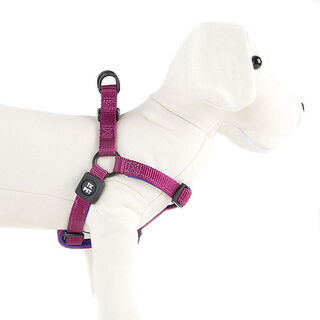 TK-Pet Neo Classic Peitoral de Nylon Roxo para cães
