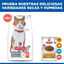10 kg Ração Hill's Science Plan Sterilised Adult Ração de salmão para gatos, , large Indicador imagem número 8