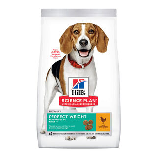 Hill's Medium Adult Science Plan Perfect Weight Frango ração para cães