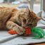 BAM! Peluche Cenoura com catnip para gatos, , large Indicador imagem n&uacute;mero 1