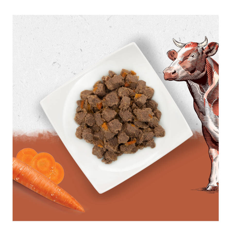 400 g Beyond Grain Free boi lata para c&atilde;es, , large Imagem n&uacute;mero 3