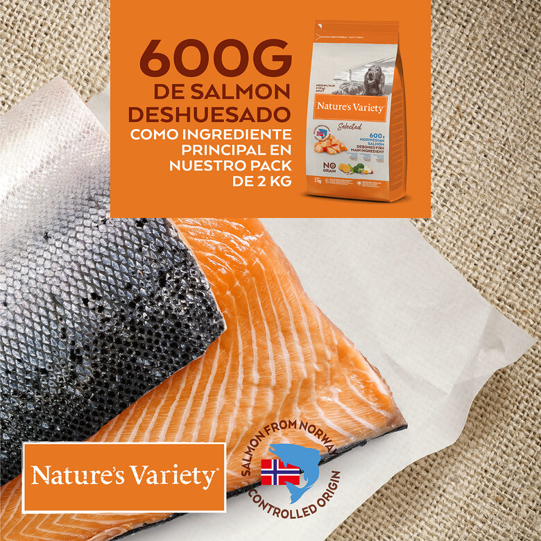 Nature's Variety Selected Adult Medium Salmão ração para cães, , número de imagem grande nulo