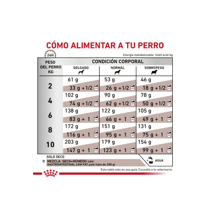 8 kg Royal Canin GastroIntestinal Low Fat Ra&ccedil;&atilde;o para c&atilde;es pequenos, , large Imagem n&uacute;mero 6