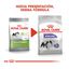 Royal Canin X-Small Sterilised ração para cães, , large Indicador imagem número 3