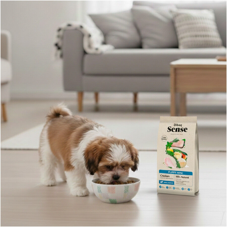 2 kg Dibaq Sense Low Grain Puppy Mini Ra&ccedil;&atilde;o de frango para c&atilde;es, , large Imagem n&uacute;mero 5