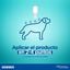 Virbac Effipro 20-40 kg Pipetas Antiparasitárias para cães, , large Indicador imagem número 6