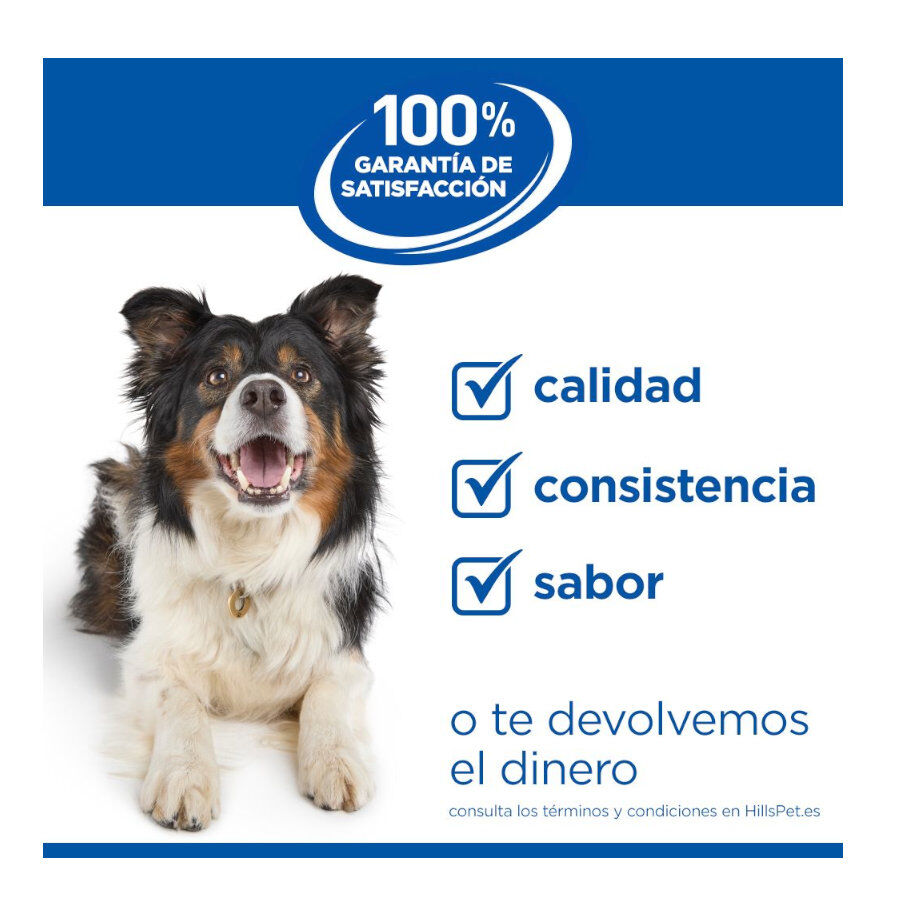 6 kg Hill's Science Plan Perfect Weight Adult Small & Mini Ra&ccedil;&atilde;o para c&atilde;es, , large Imagem n&uacute;mero 9